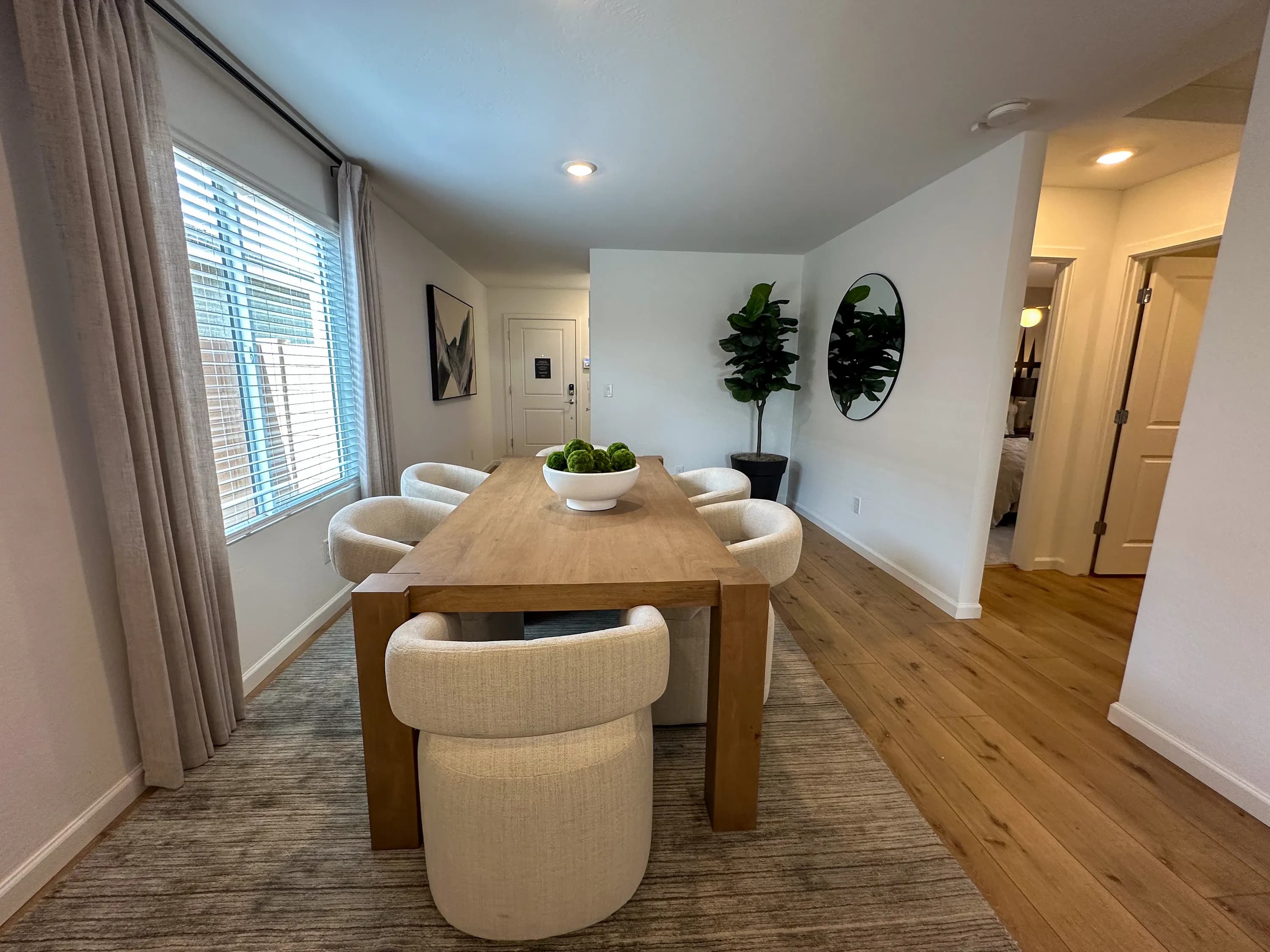 Aster — interior