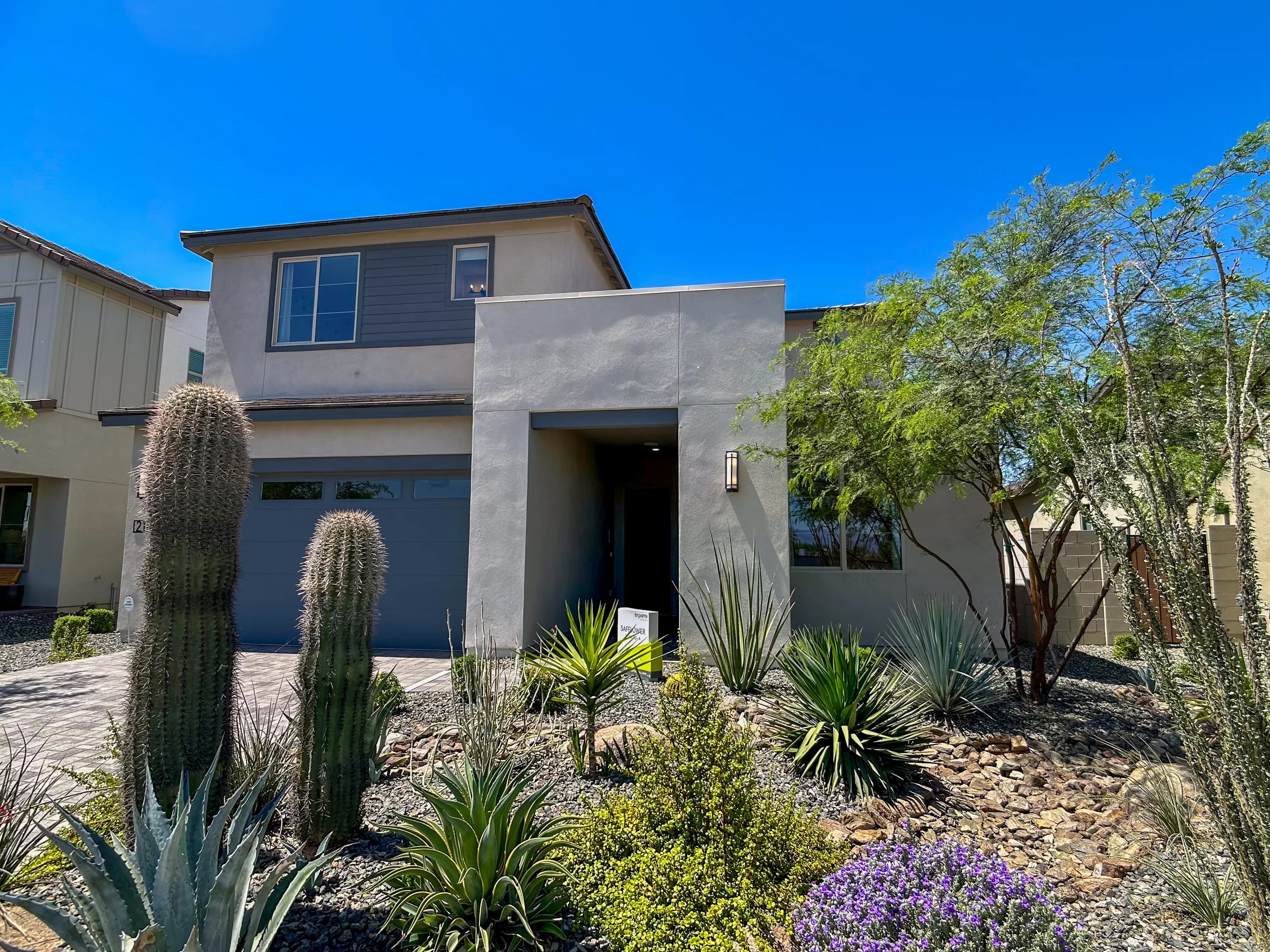 Safflower by Tri Pointe Homes at Luna at Soleo — photo 2 of 19