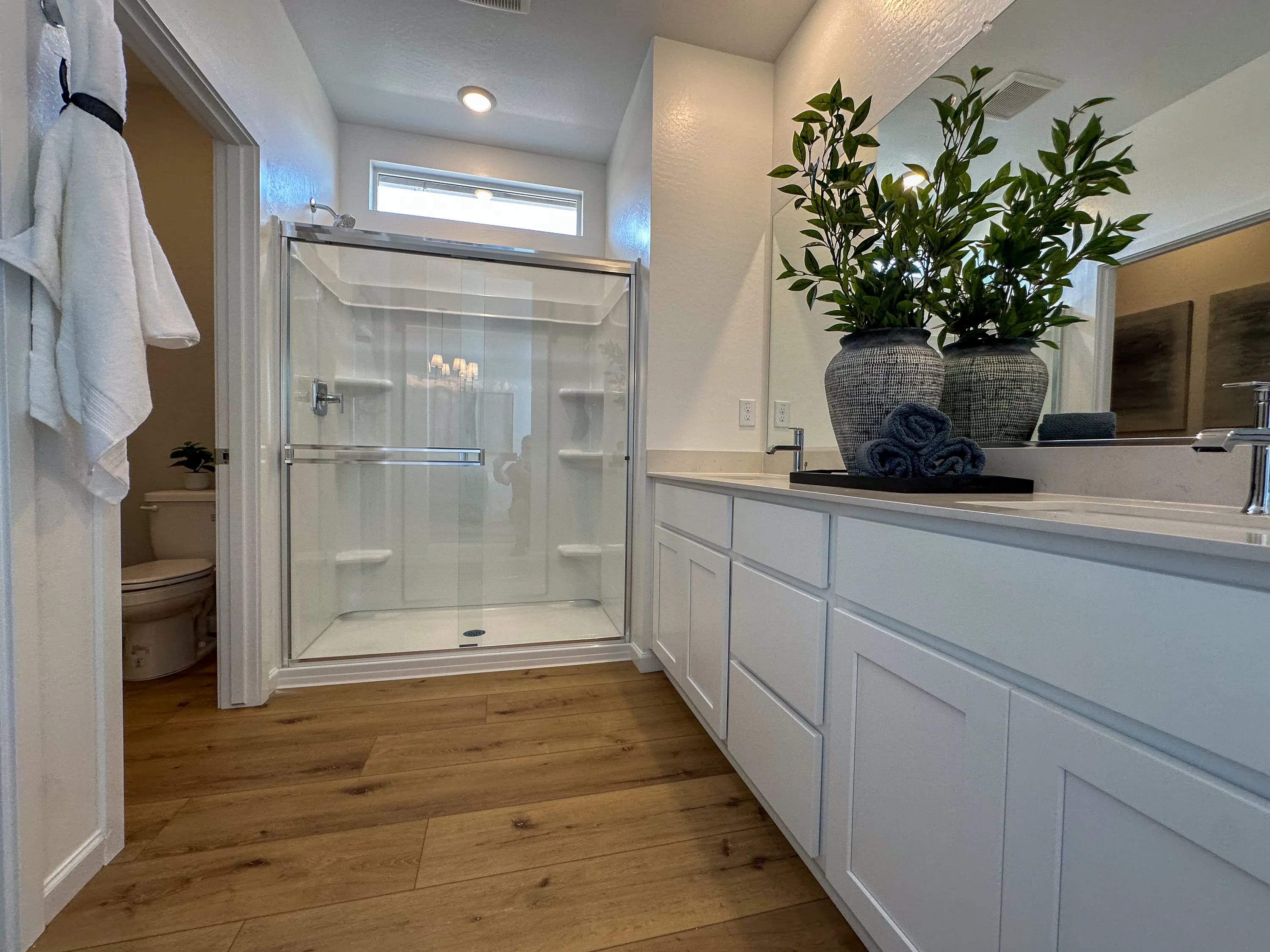 Coronado — interior