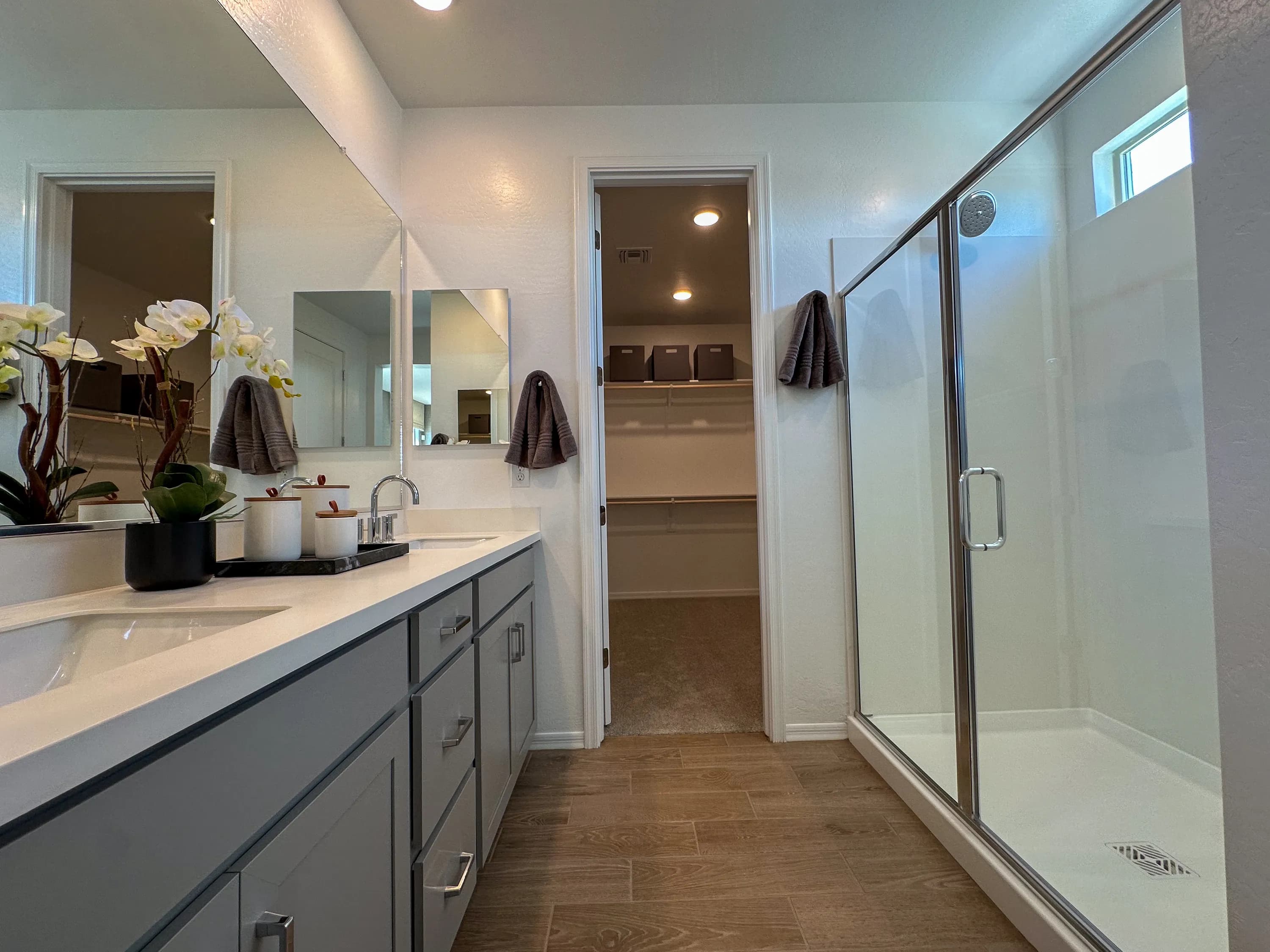 Sienna — interior