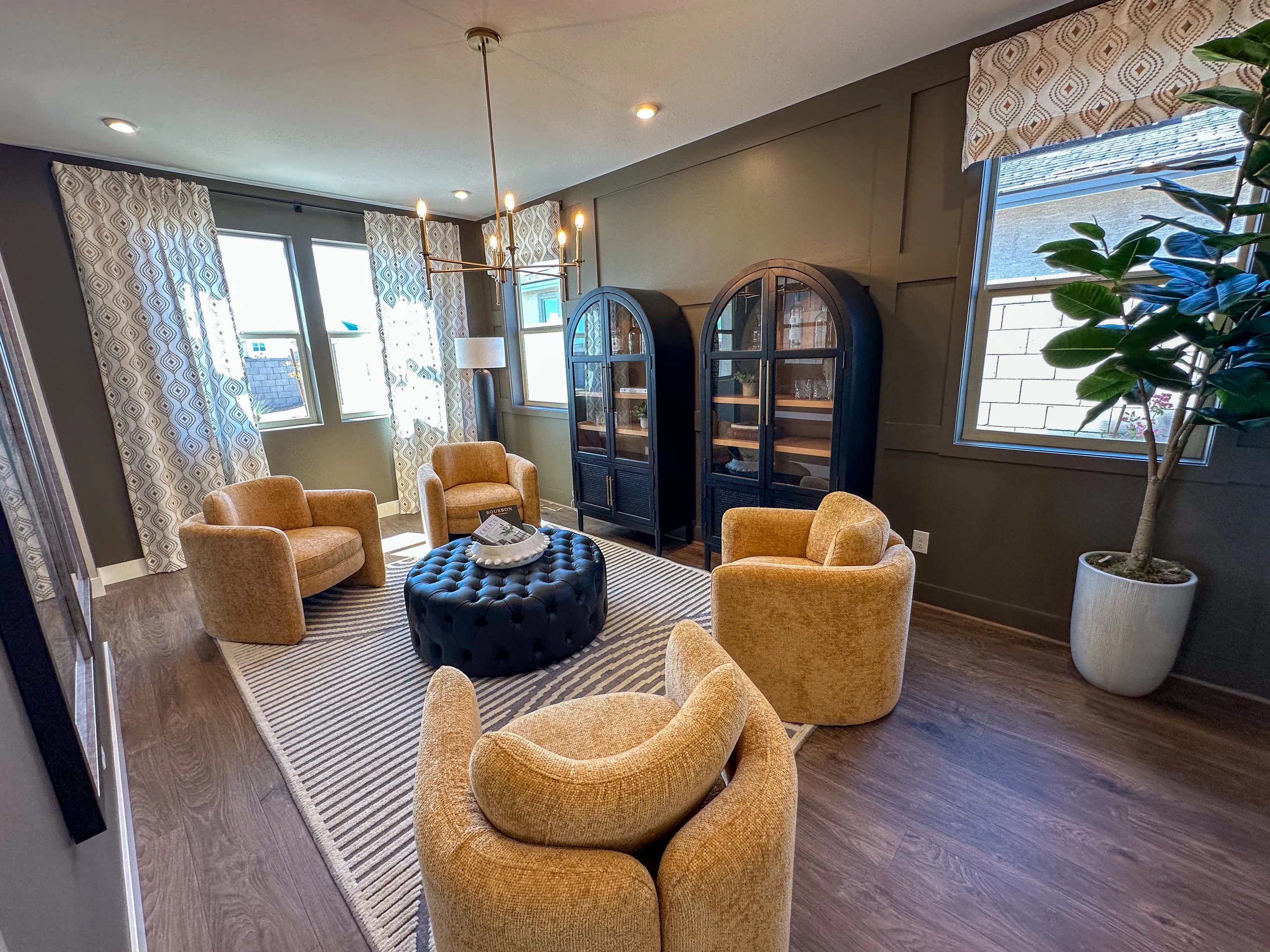 Saguaro — interior