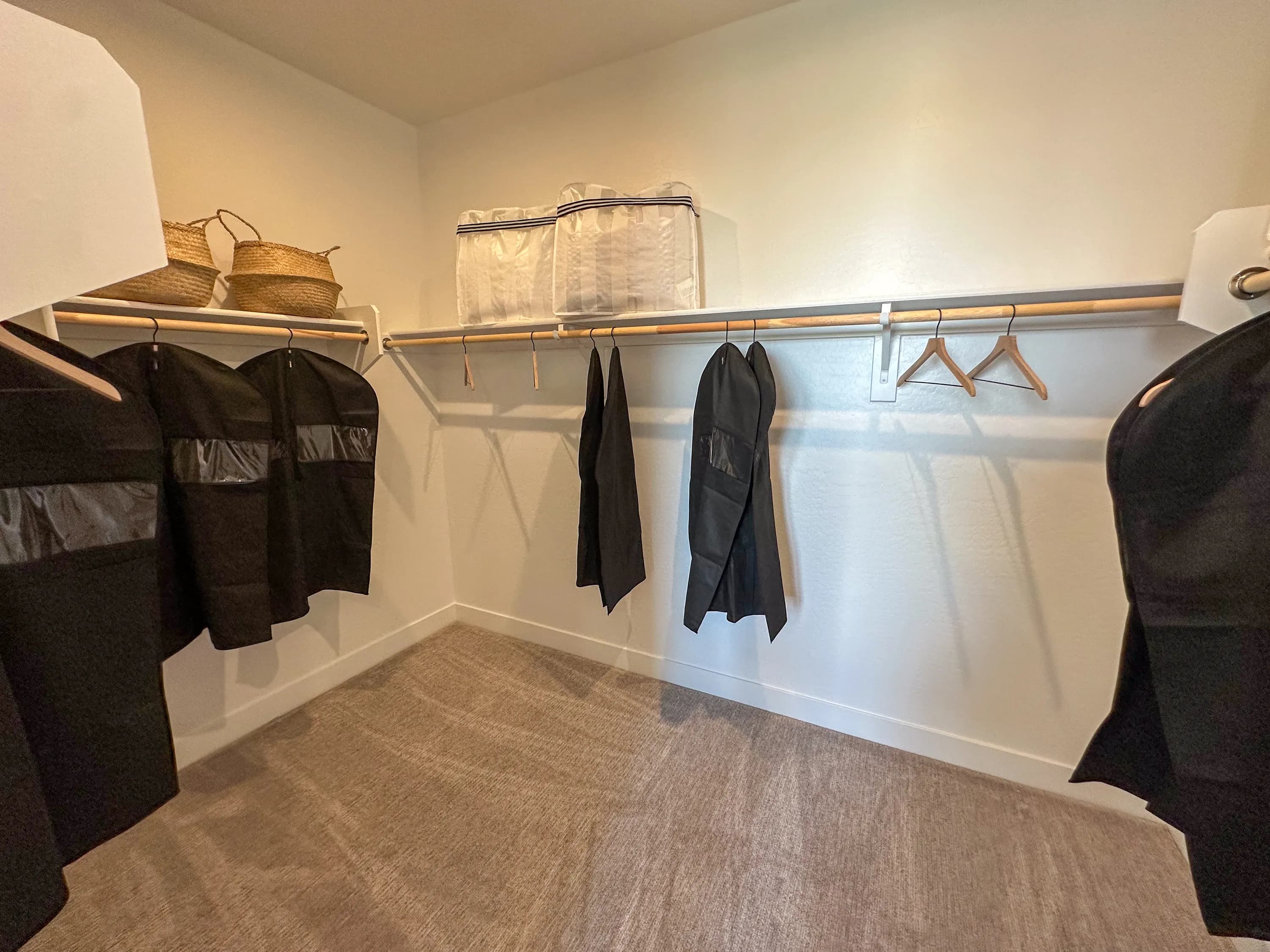 Saguaro — interior