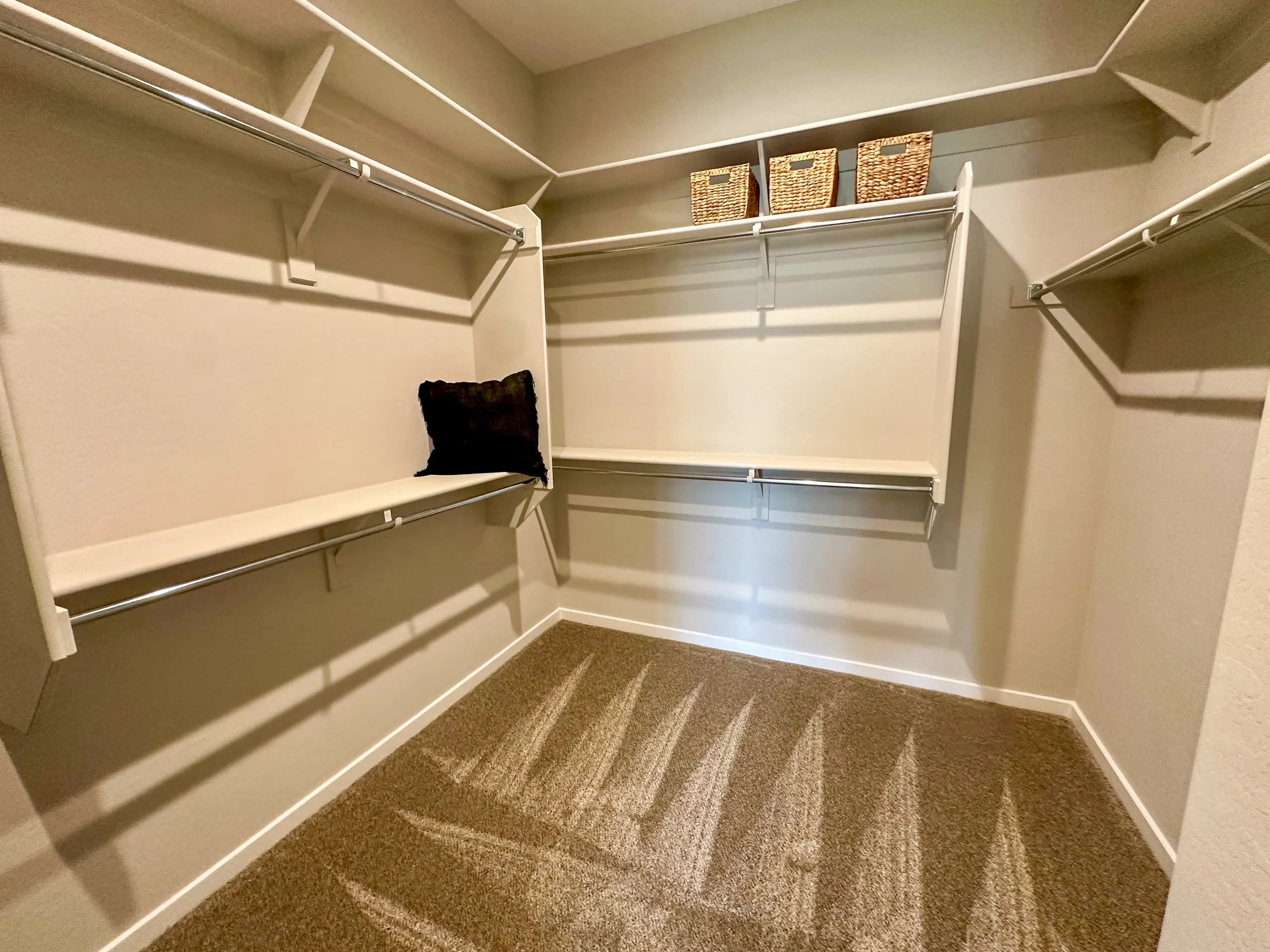 Verbena — interior