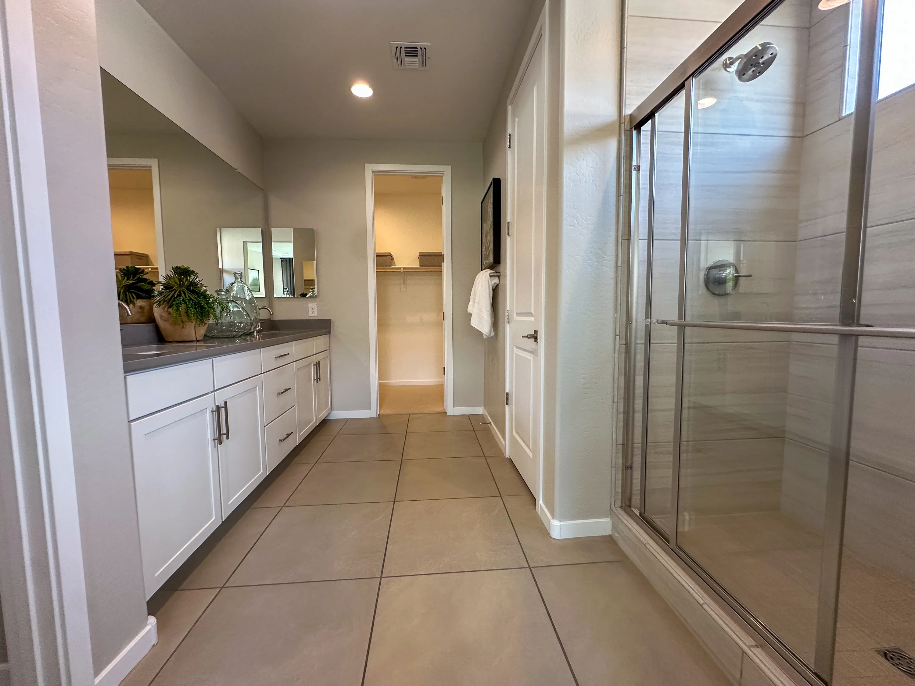 Lily — interior