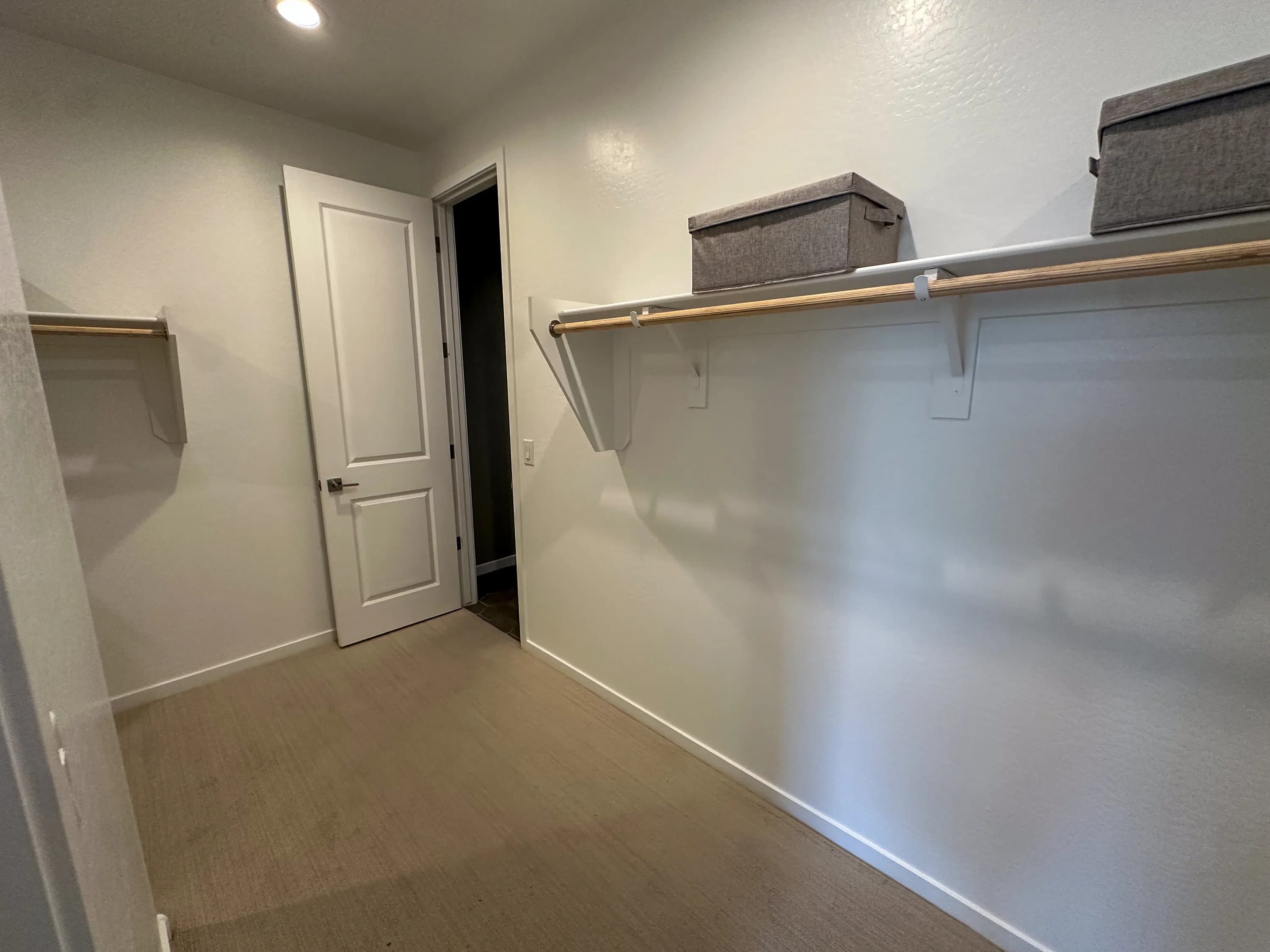 Lily — interior