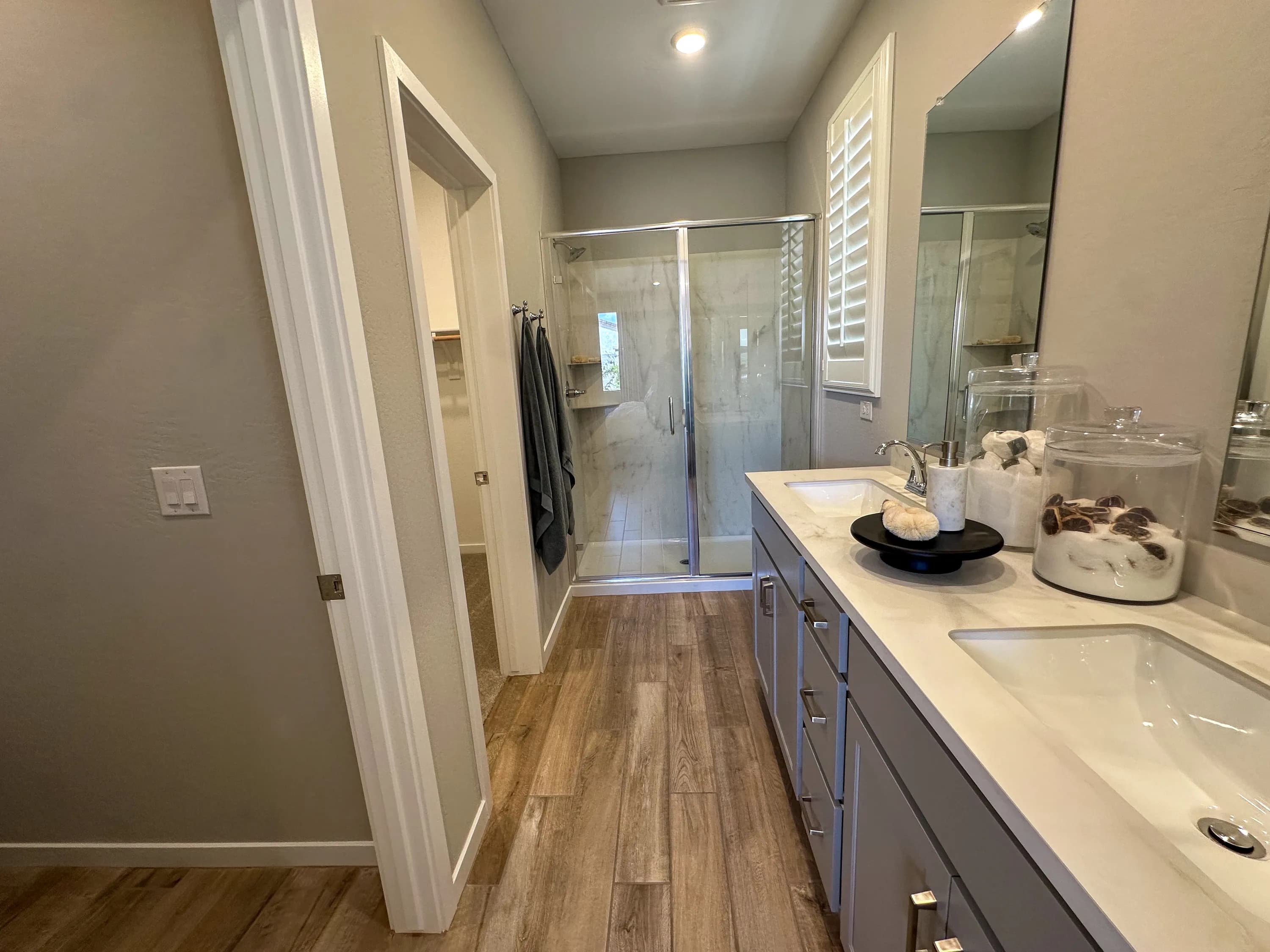 Daisy — interior