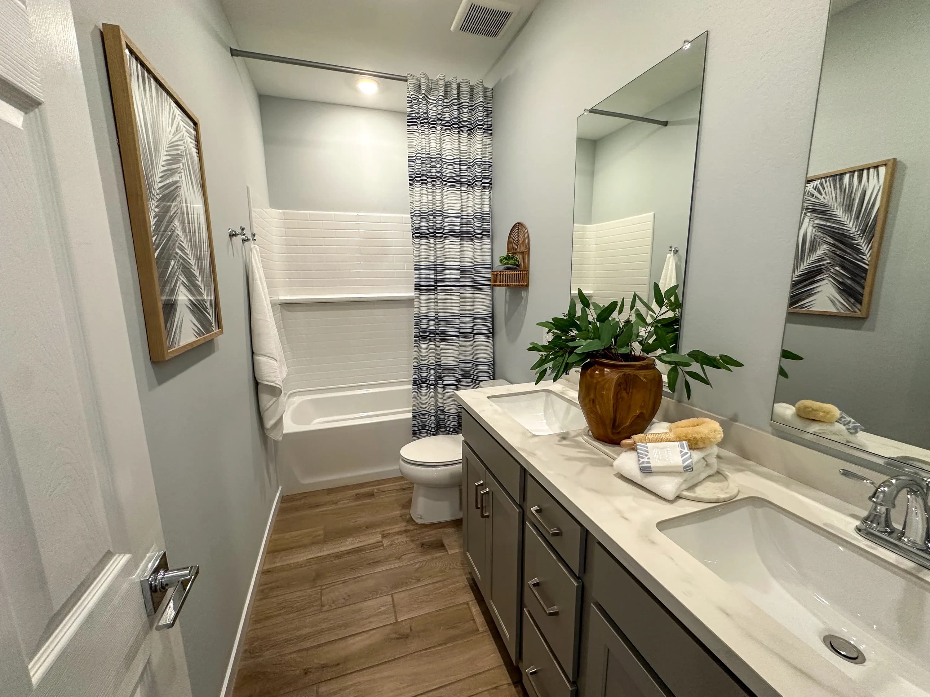 Daisy — interior