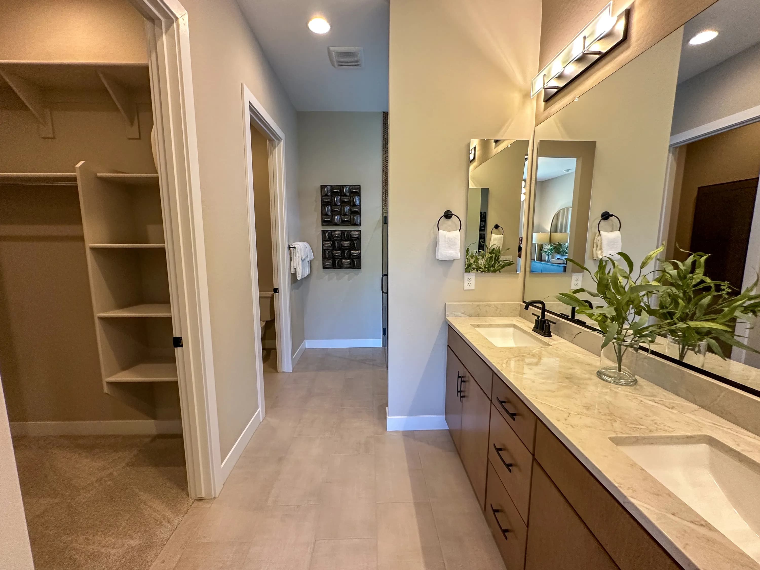 Bayley — interior