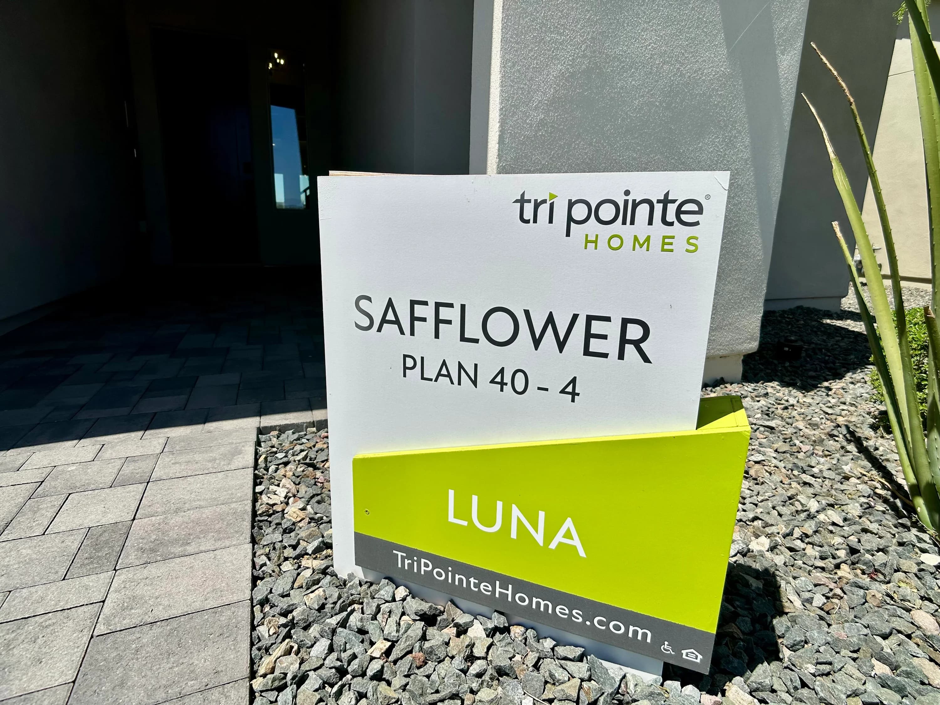 Safflower